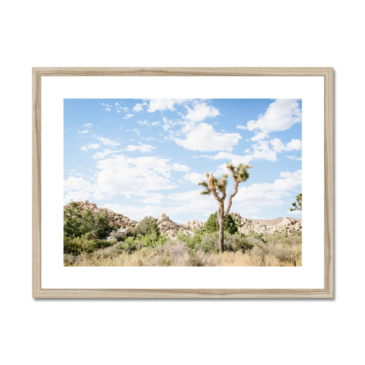 JOSHUA TREE IV Framed & Mounted Print