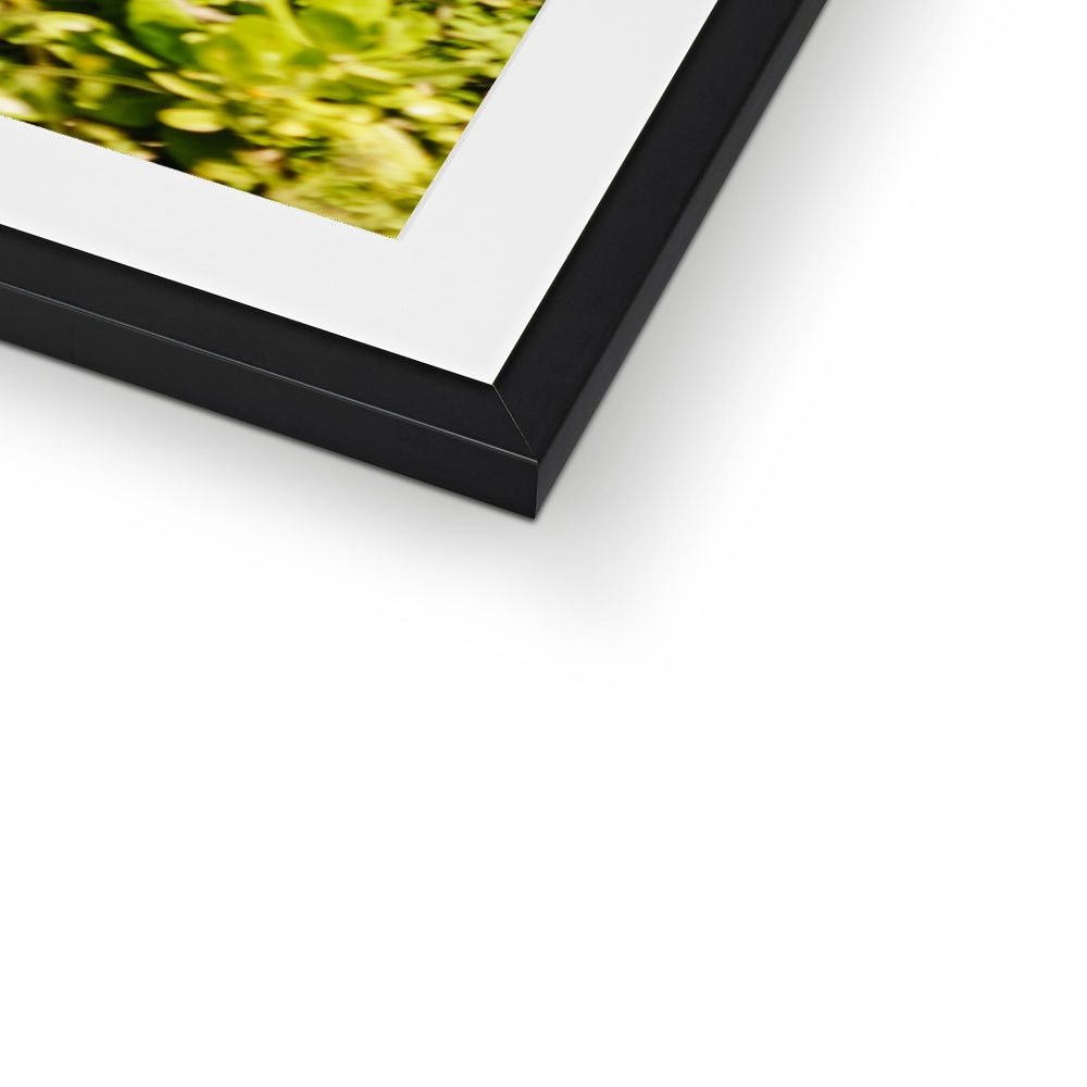 BLACK BEACH II Framed & Mounted Print