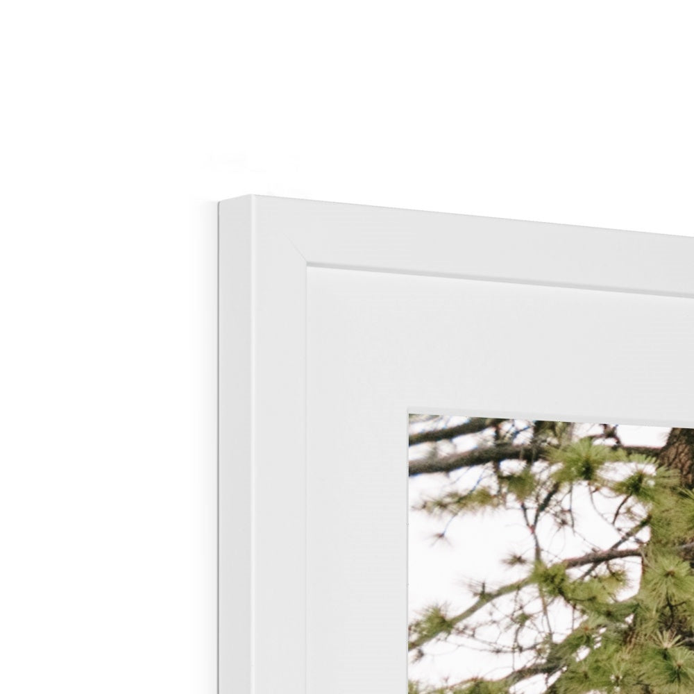 HALF DOME Framed & Mounted Print