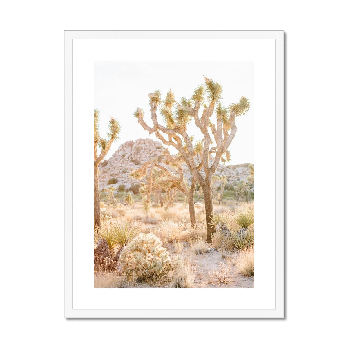 JOSHUA TREE Framed & Mounted Print
