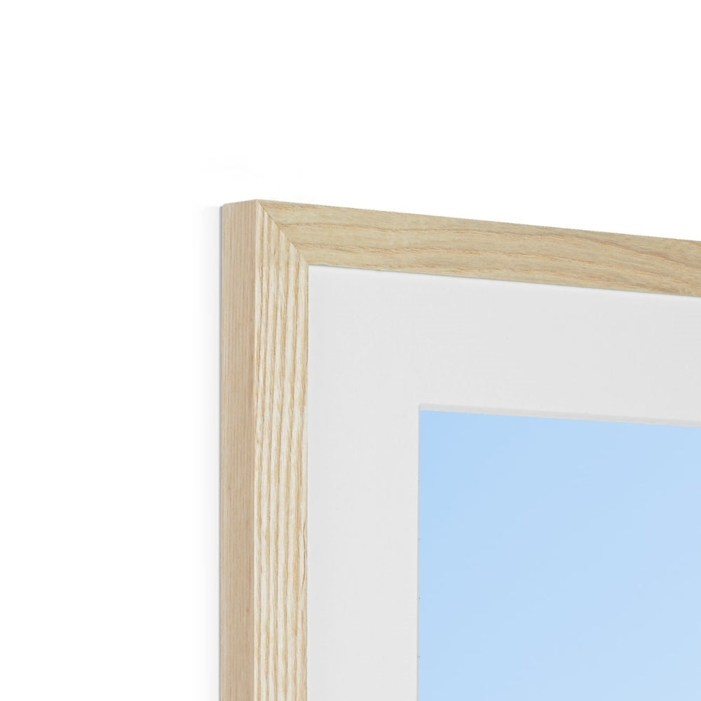 SAGUARO Framed & Mounted Print