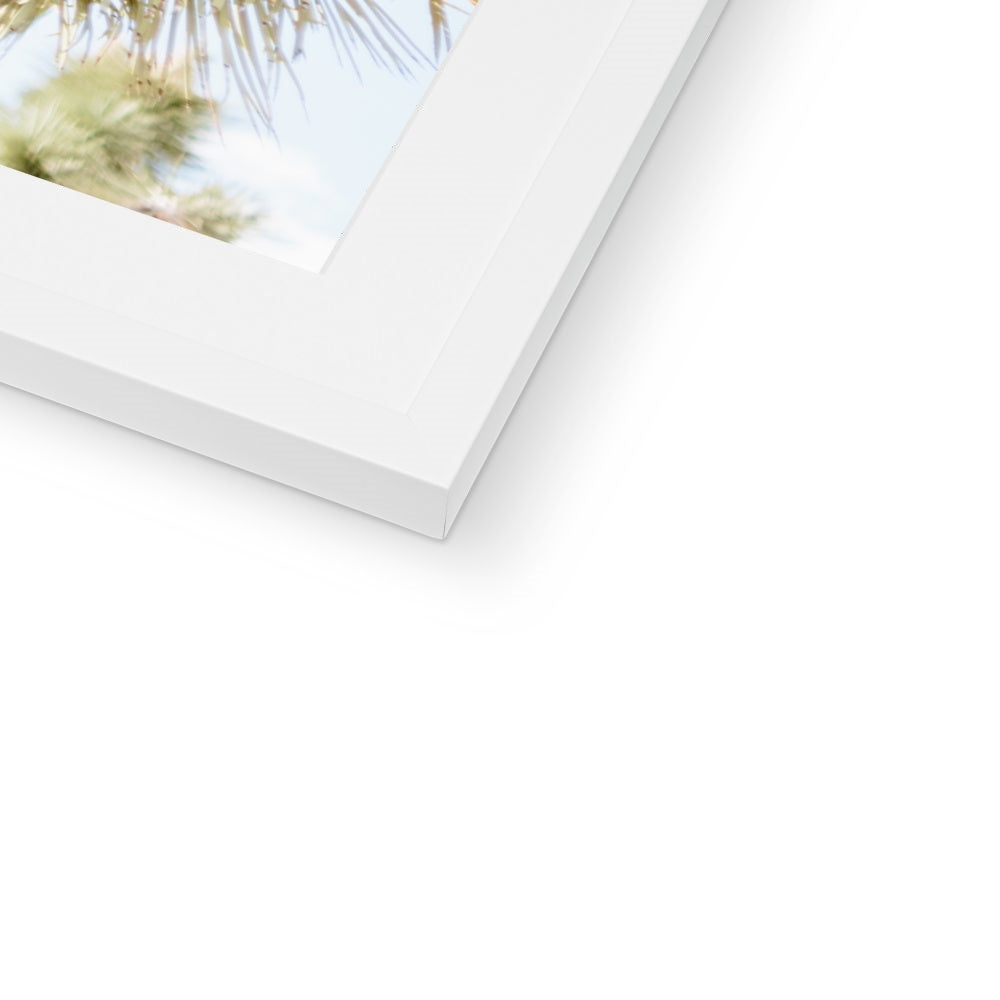 JOSHUA TREE UP CLOSE Framed & Mounted Print