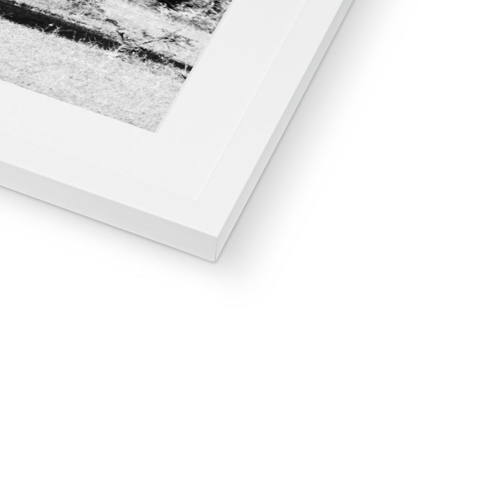 GIRAFFE SIGHTING BW Framed & Mounted Print