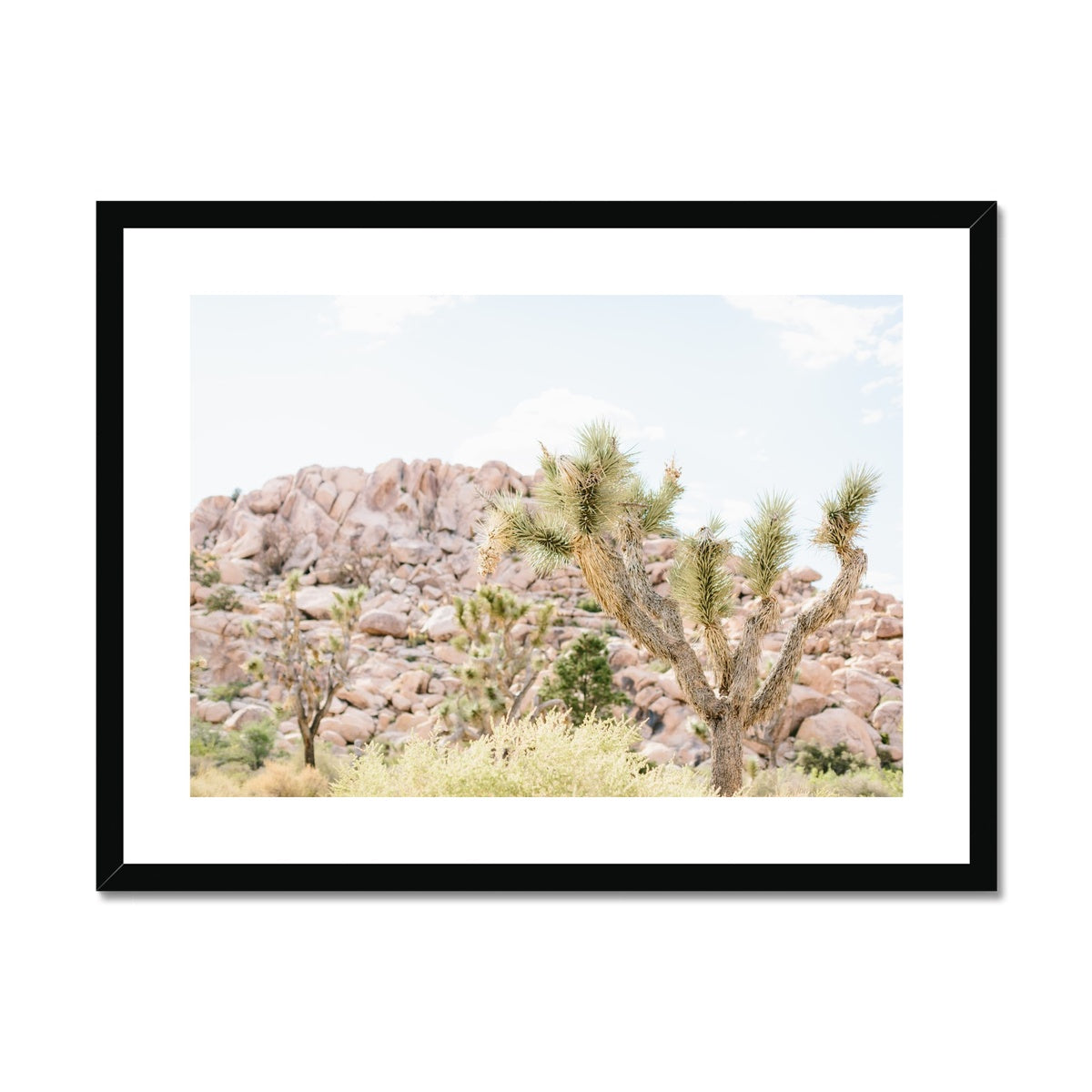 JOSHUA TREE VI Framed & Mounted Print