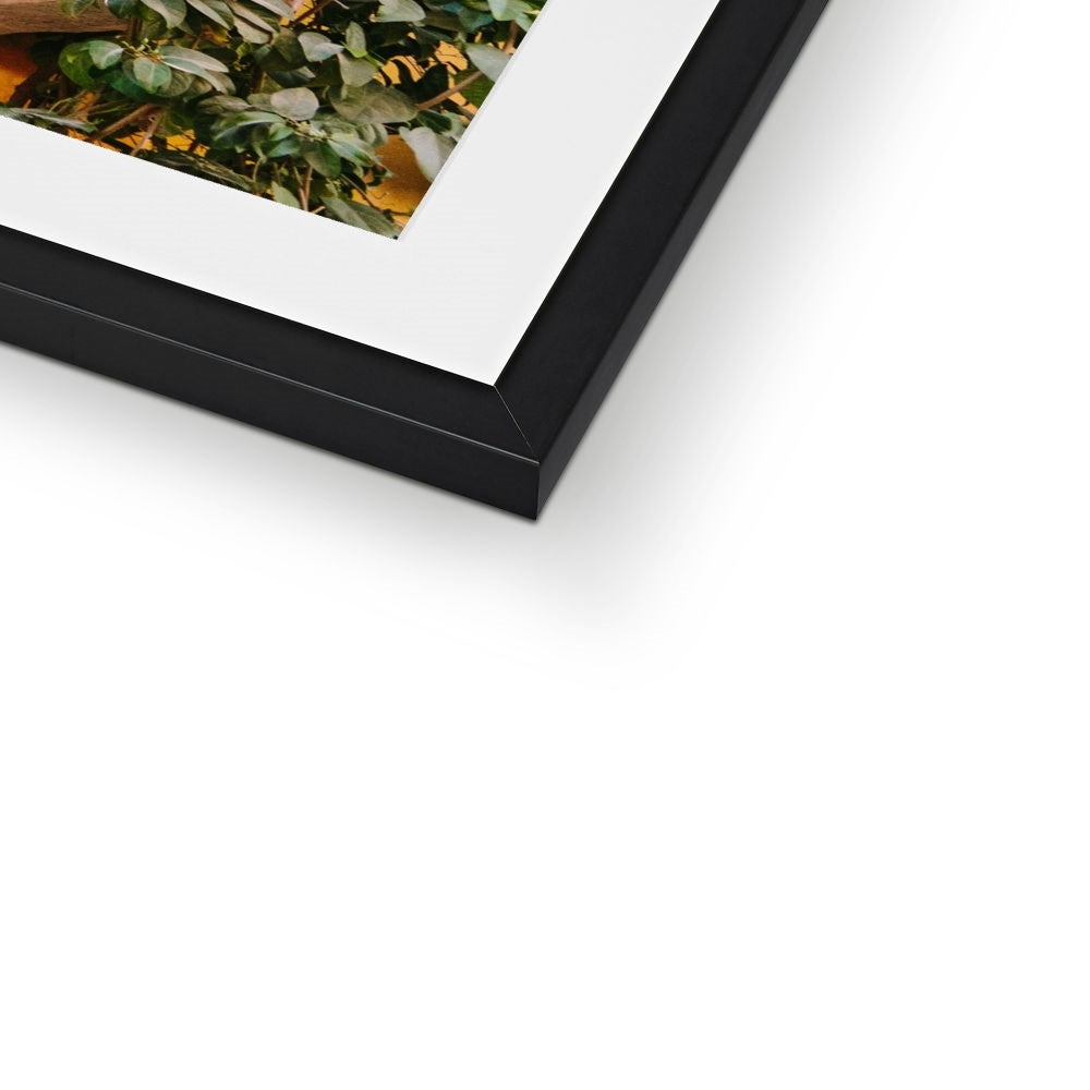 CARTAGENA BALCONY Framed & Mounted Print