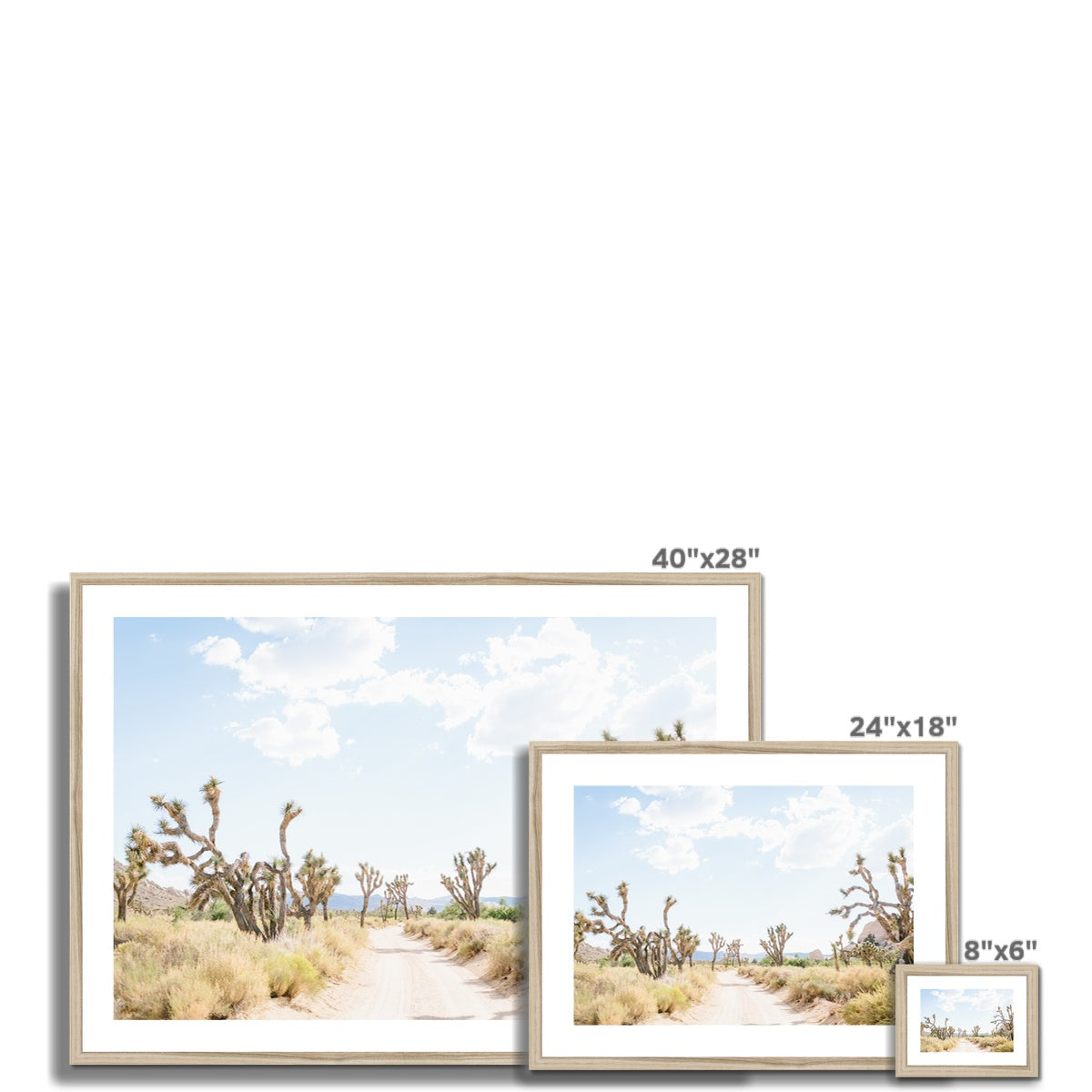 JOSHUA TREE ROAD Framed & Mounted Print