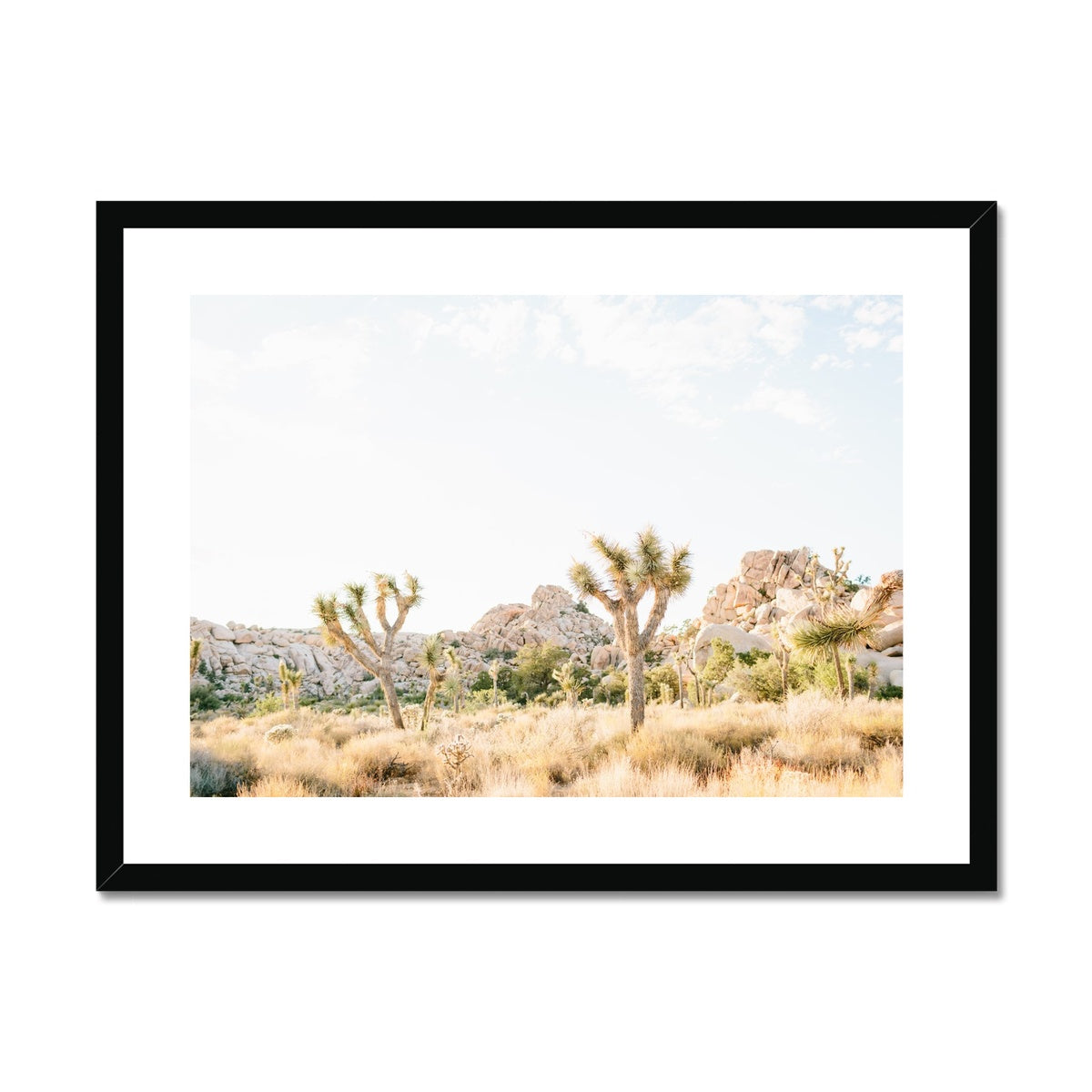 JOSHUA TREE VIII Framed & Mounted Print
