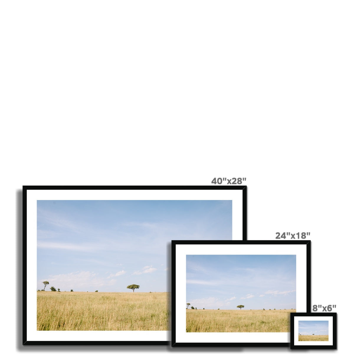 SAFARI LANDSCAPE Framed & Mounted Print