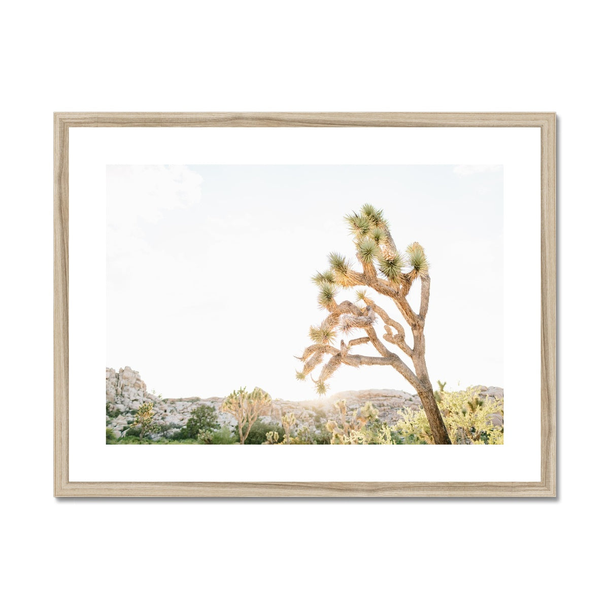 JOSHUA TREE V Framed & Mounted Print