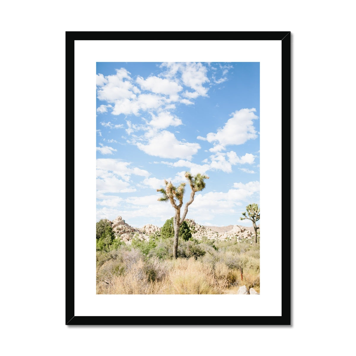 JOSHUA TREE III Framed & Mounted Print