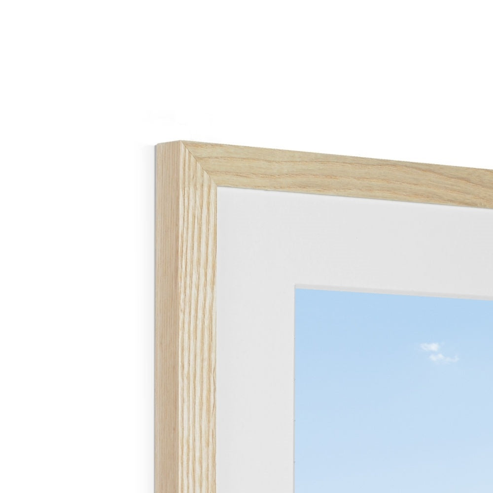 JOSHUA TREE ROAD Framed & Mounted Print