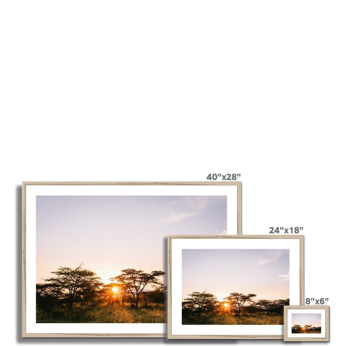 SAFARI BUSH SUNRISE Framed & Mounted Print