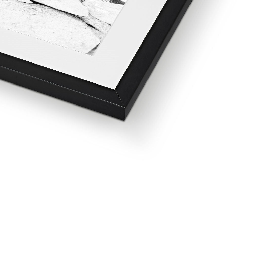 CACTUS BW Framed & Mounted Print
