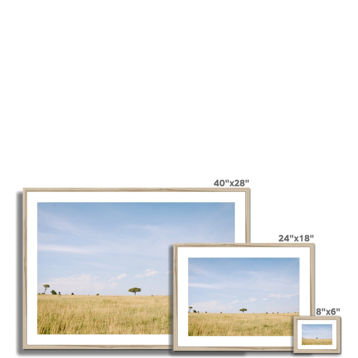 SAFARI LANDSCAPE Framed & Mounted Print