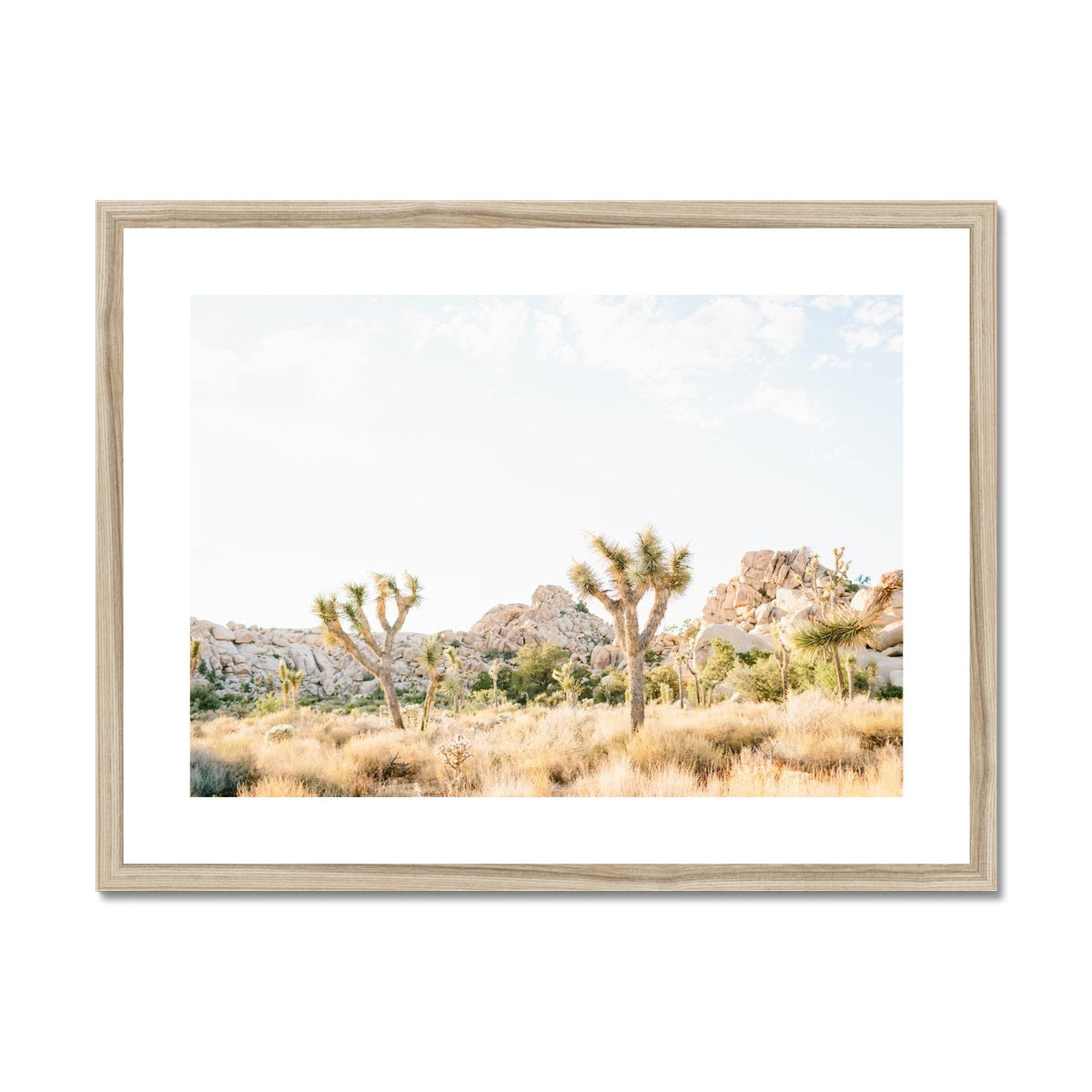 JOSHUA TREE VIII Framed & Mounted Print