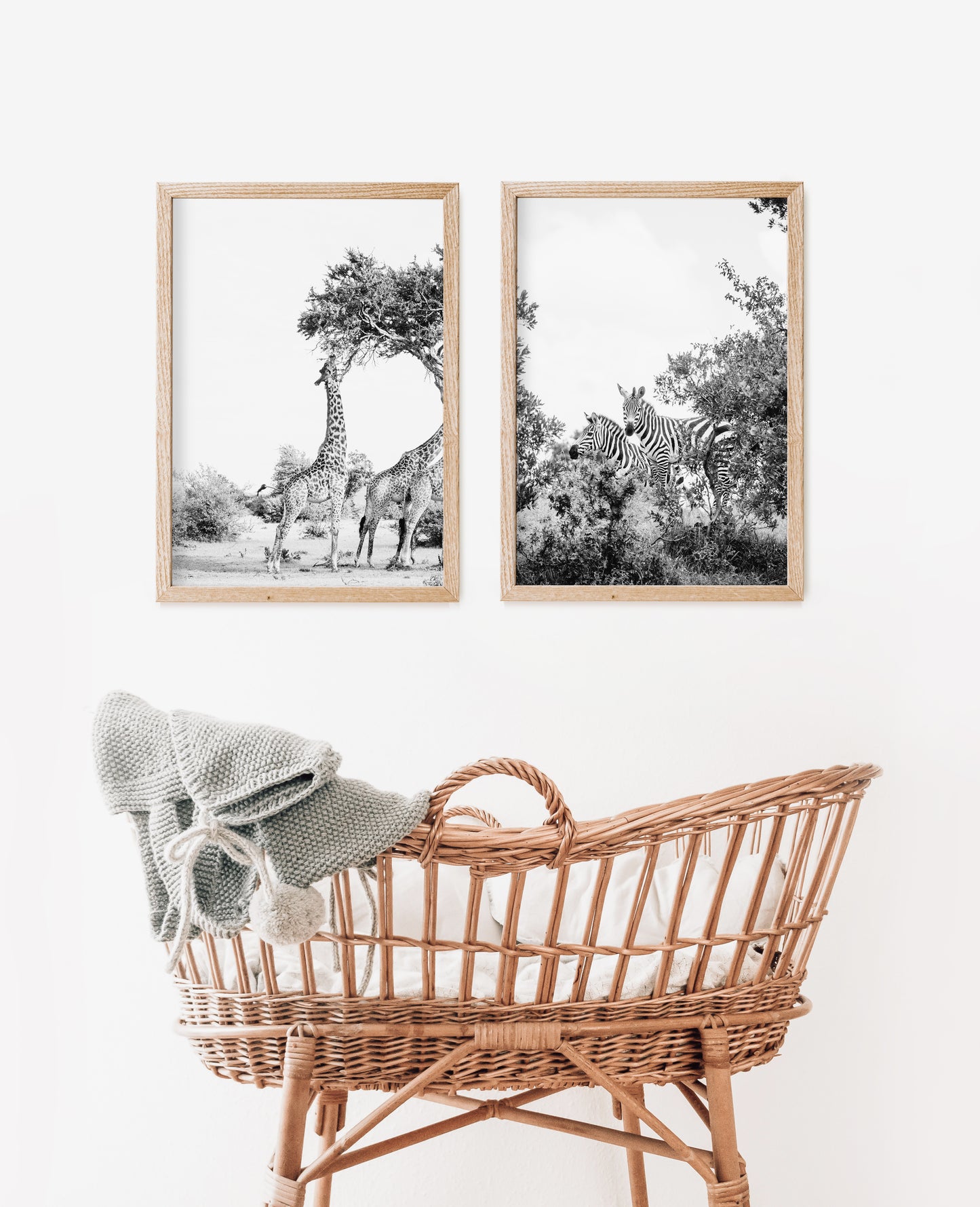 ZEBRAS BW Framed & Mounted Print