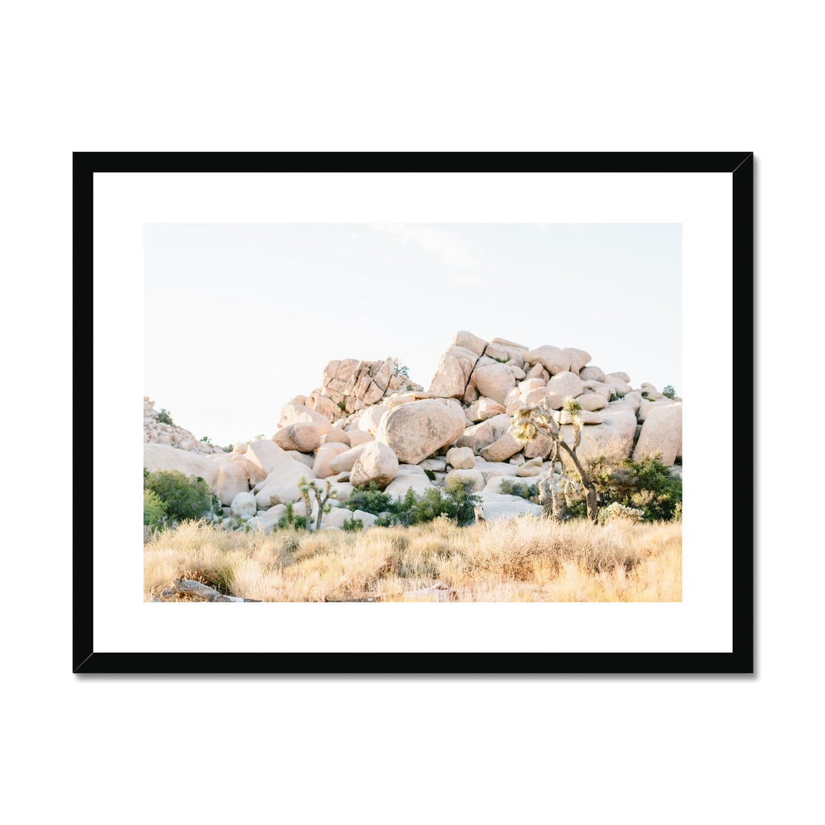 JOSHUA TREE X Framed & Mounted Print