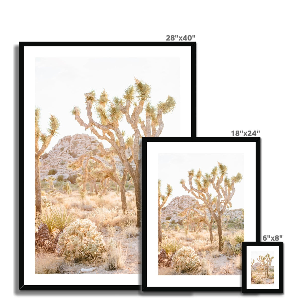 JOSHUA TREE Framed & Mounted Print
