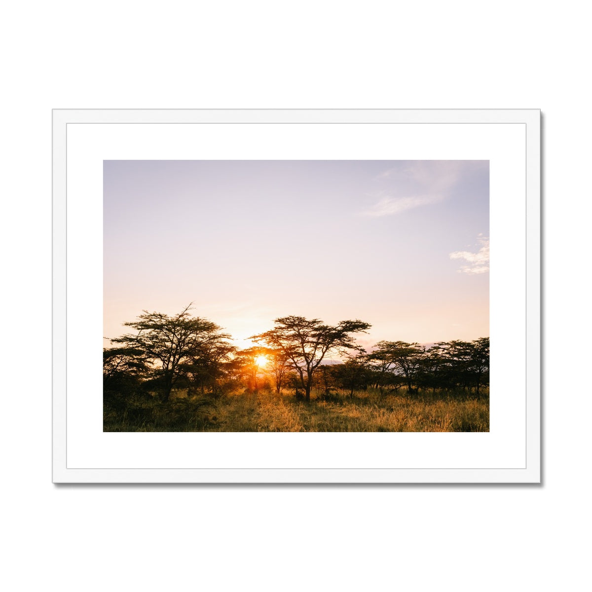 SAFARI BUSH SUNRISE Framed & Mounted Print