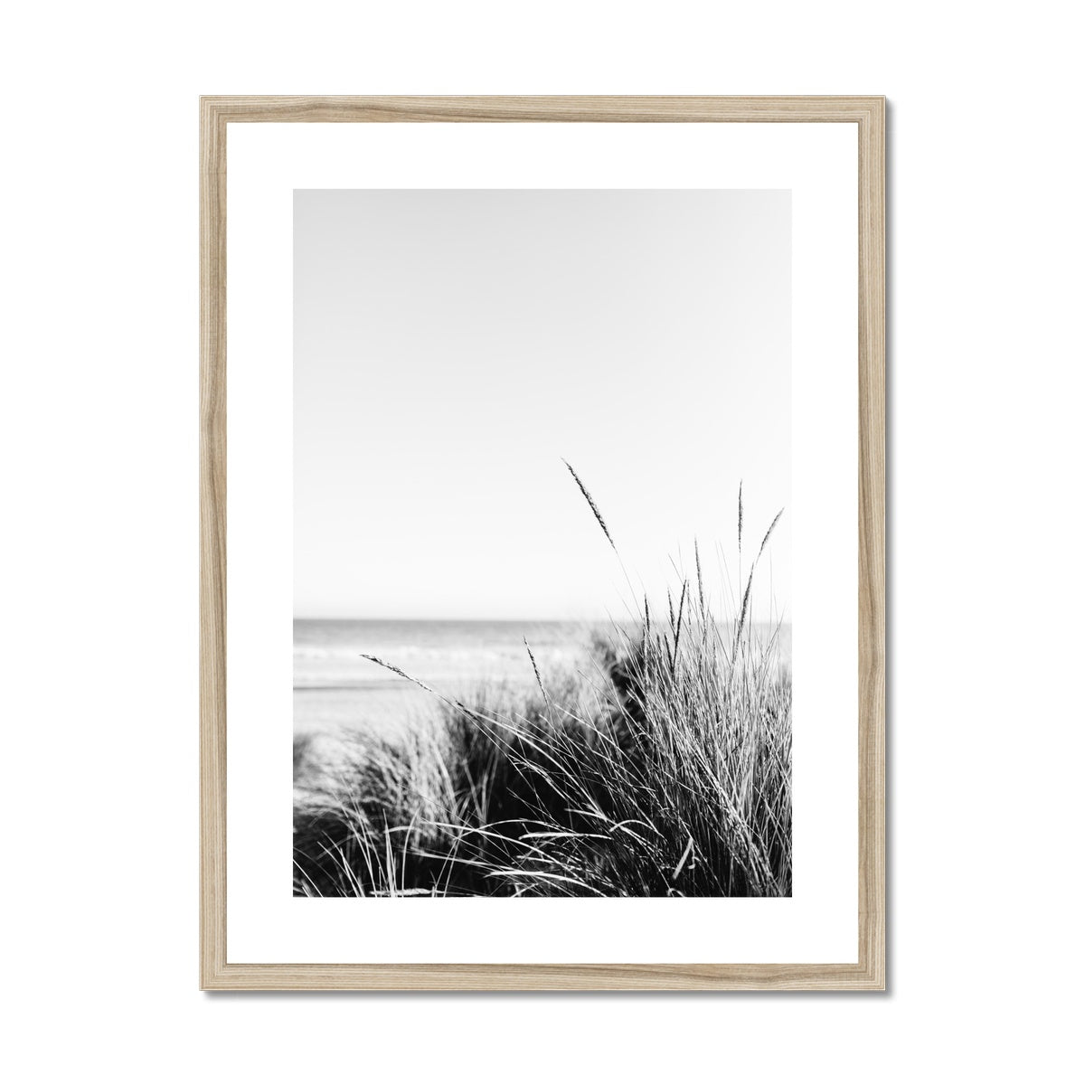 Sea Grass BW Framed & Mounted Print