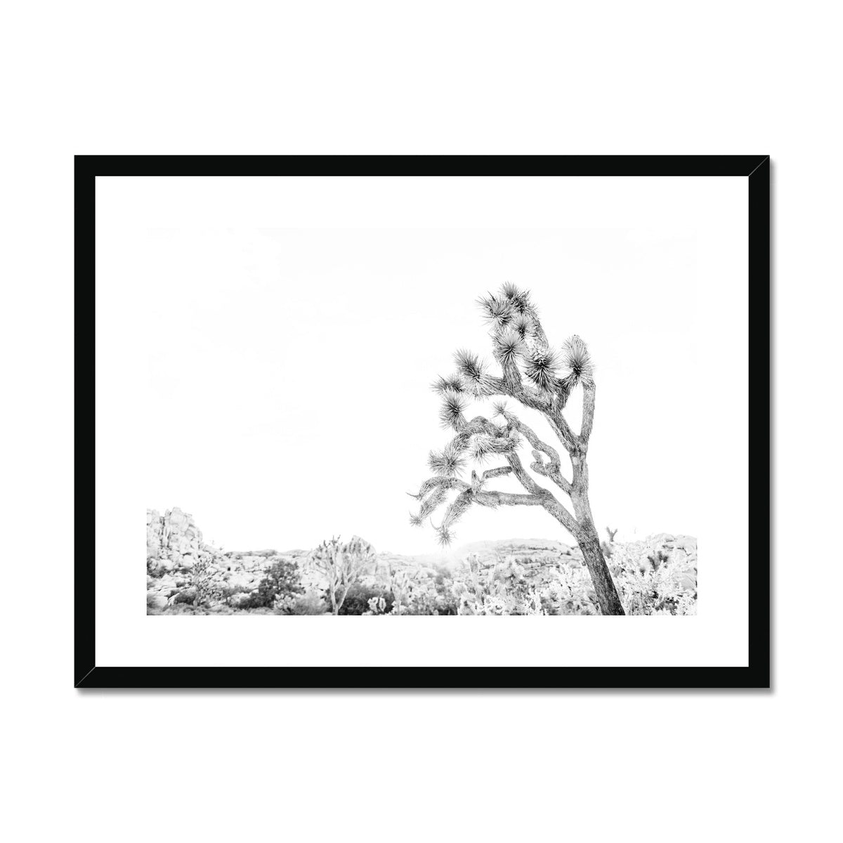 JOSHUA TREE V BW Framed & Mounted Print