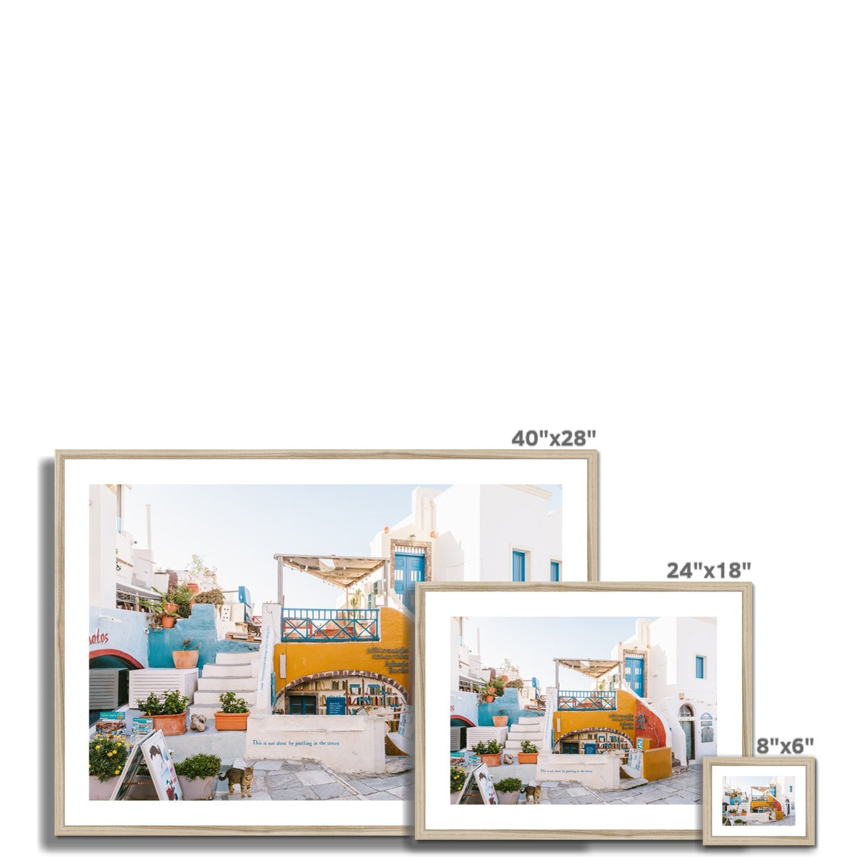 OIA BOOKSTORE Framed & Mounted Print