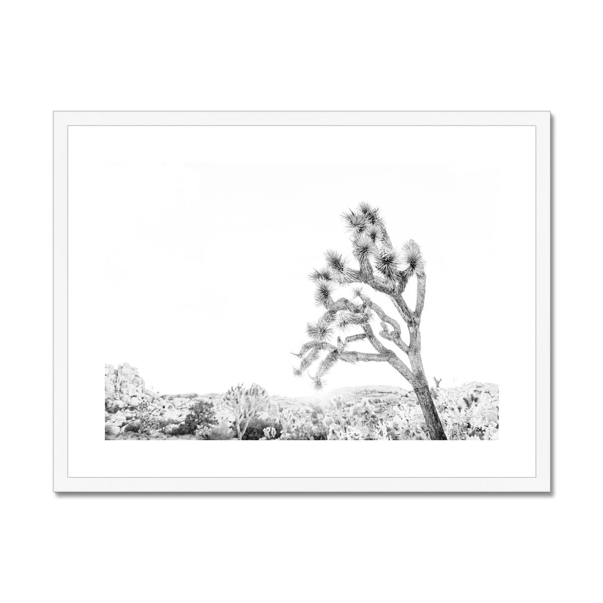 JOSHUA TREE V BW Framed & Mounted Print