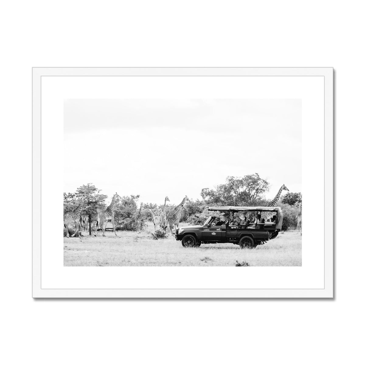 GIRAFFE SAFARI BW Framed & Mounted Print