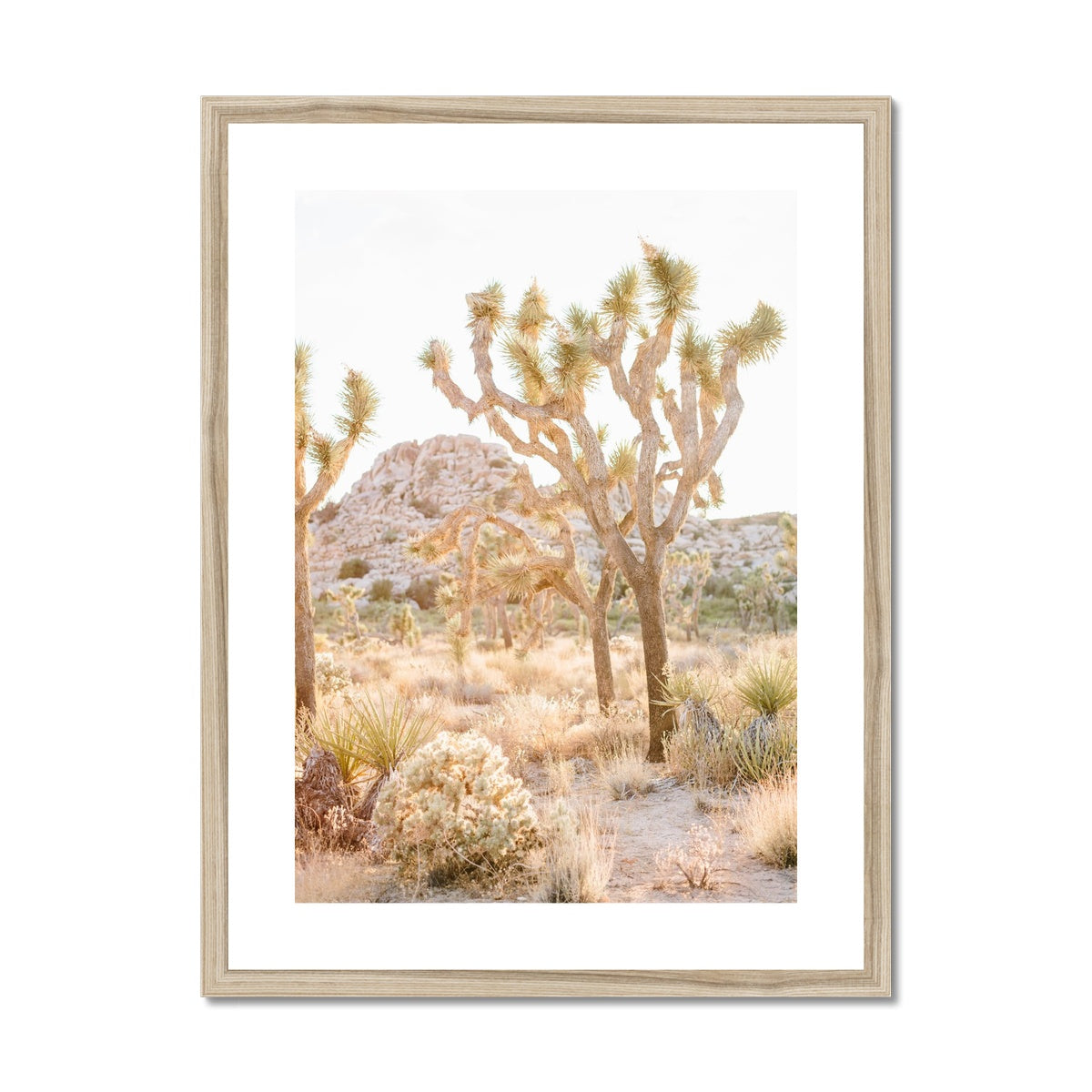 JOSHUA TREE Framed & Mounted Print