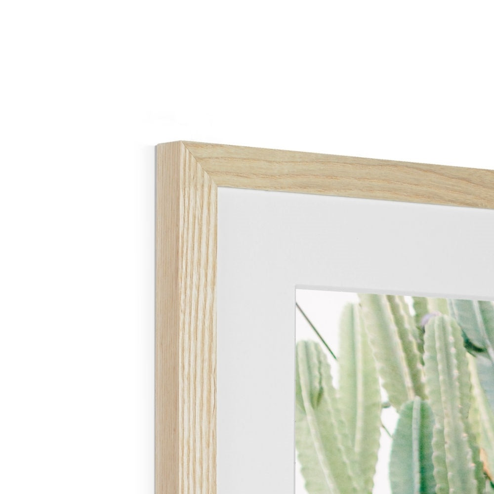 CACTUS IV Framed & Mounted Print