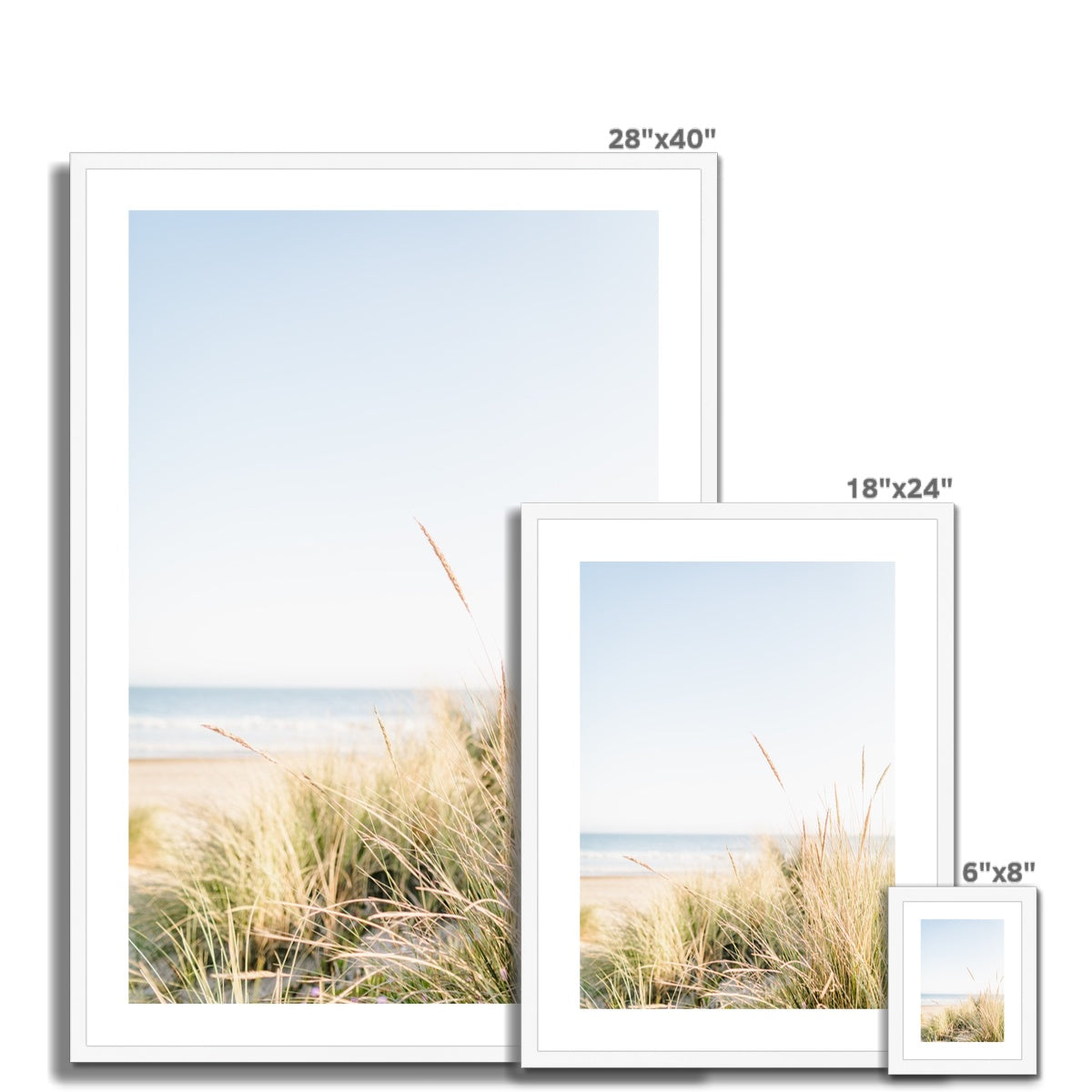 Sea Grass Framed & Mounted Print