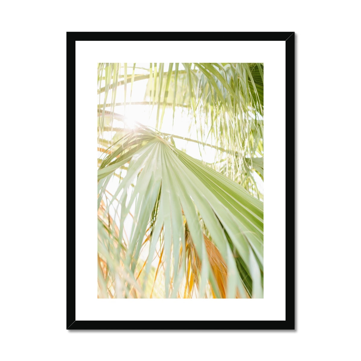 CALI PALMS Framed & Mounted Print