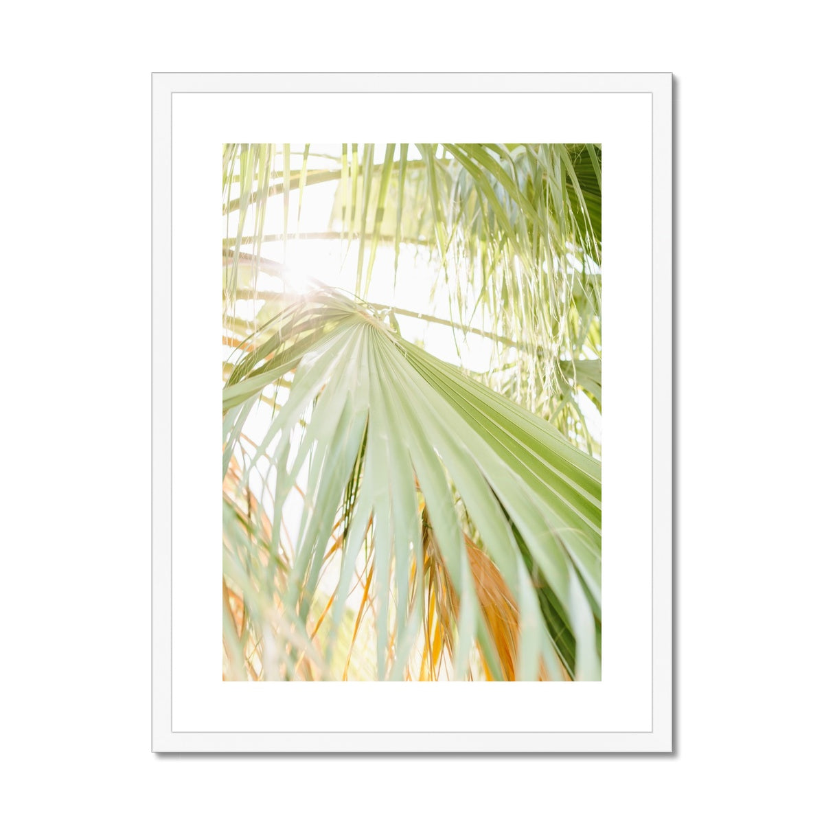 CALI PALMS Framed & Mounted Print