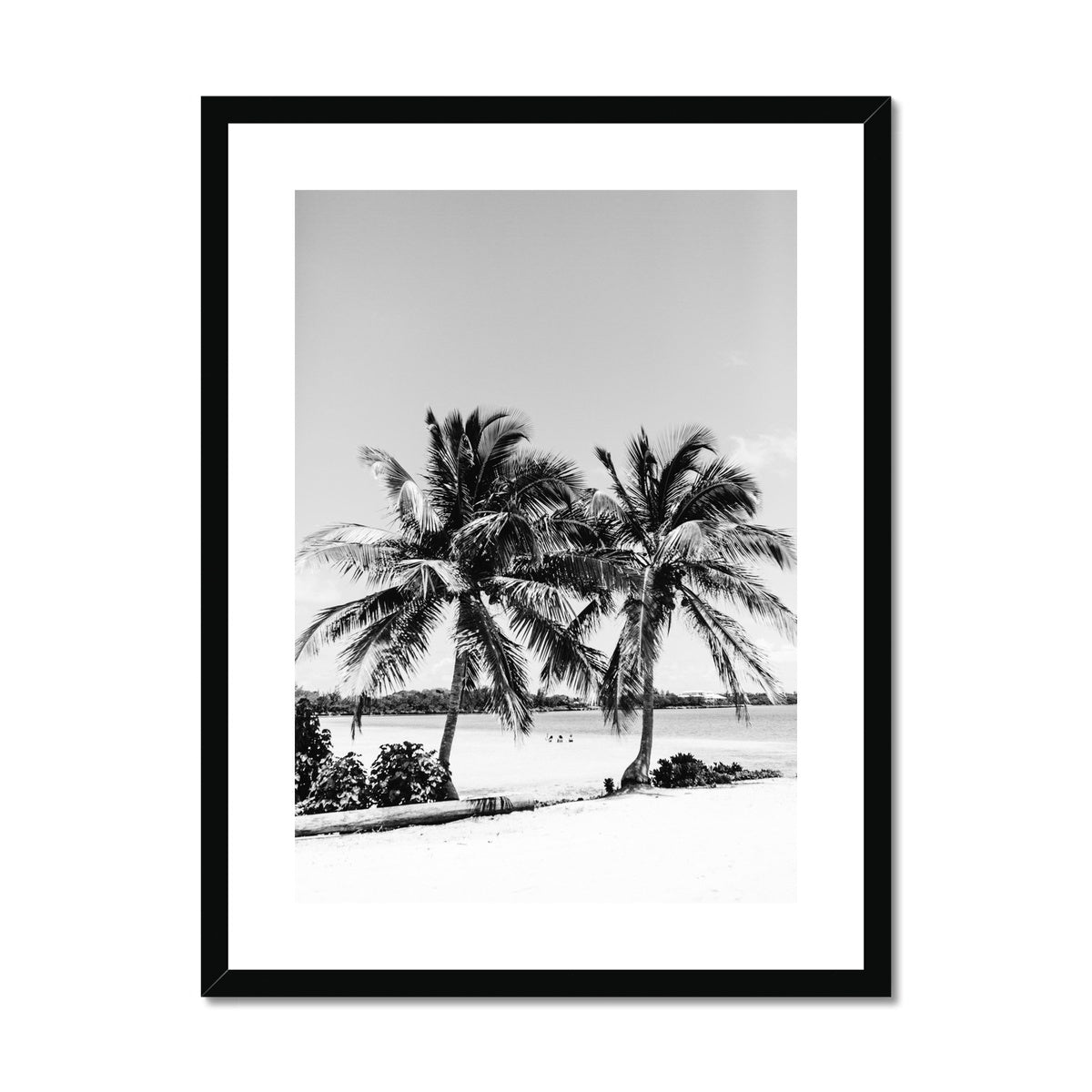 PALMS BW Framed & Mounted Print