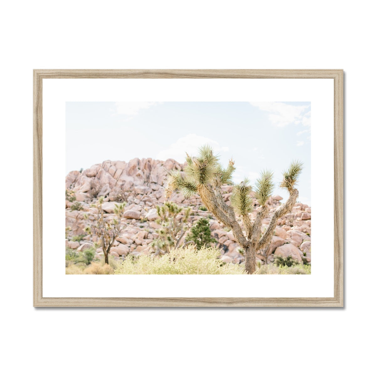 JOSHUA TREE VI Framed & Mounted Print