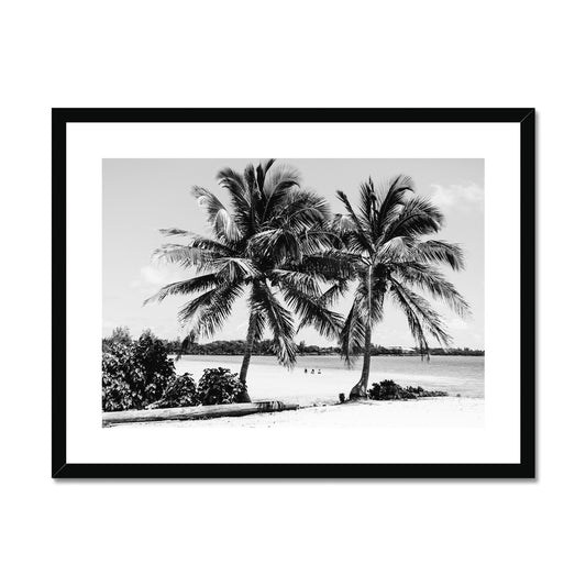 PALMS II BW Framed & Mounted Print