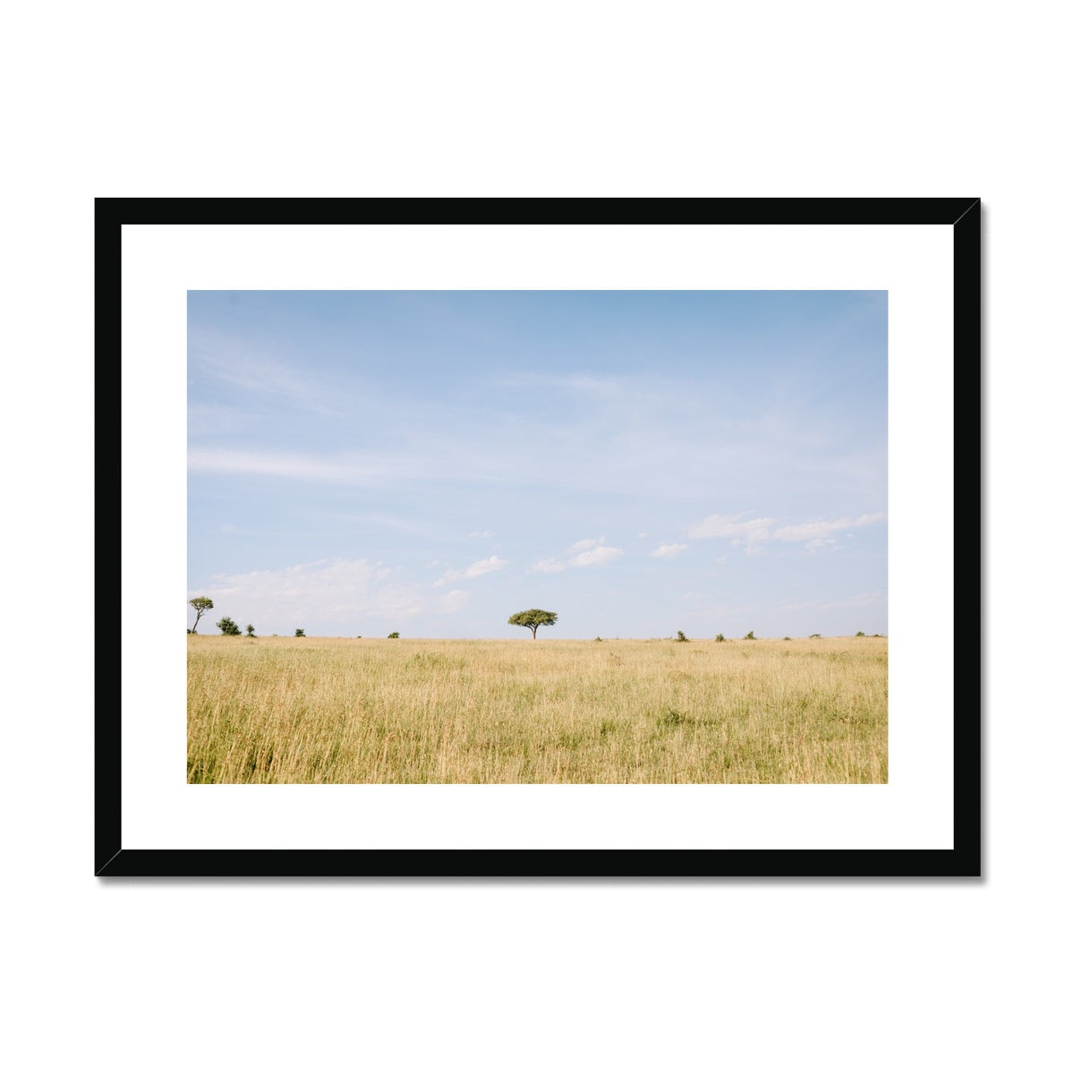 SAFARI LANDSCAPE Framed & Mounted Print
