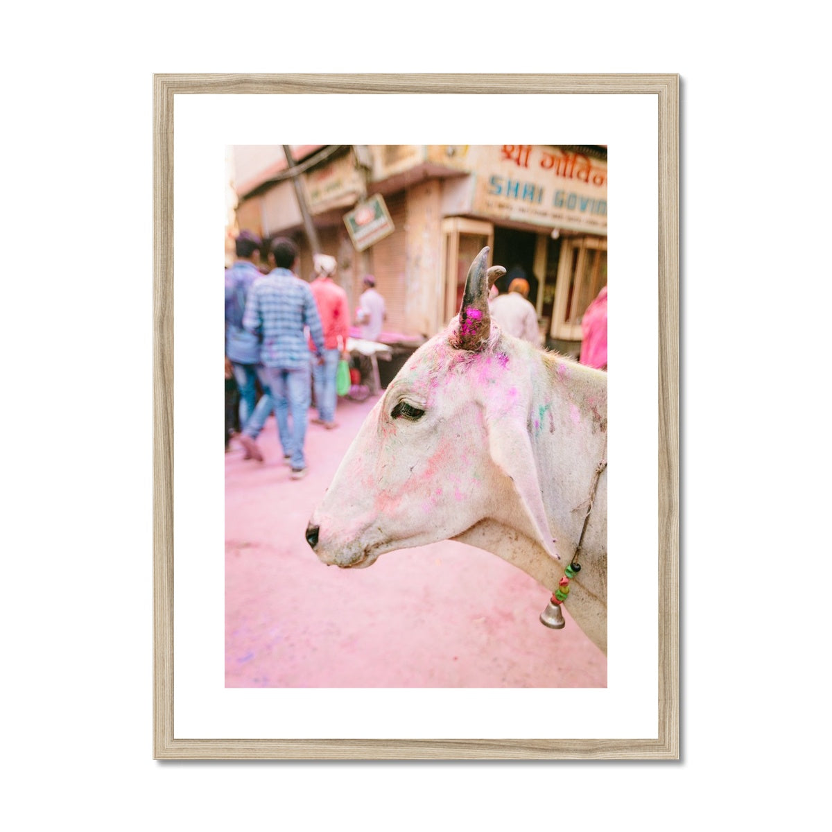 HOLI COW Framed & Mounted Print