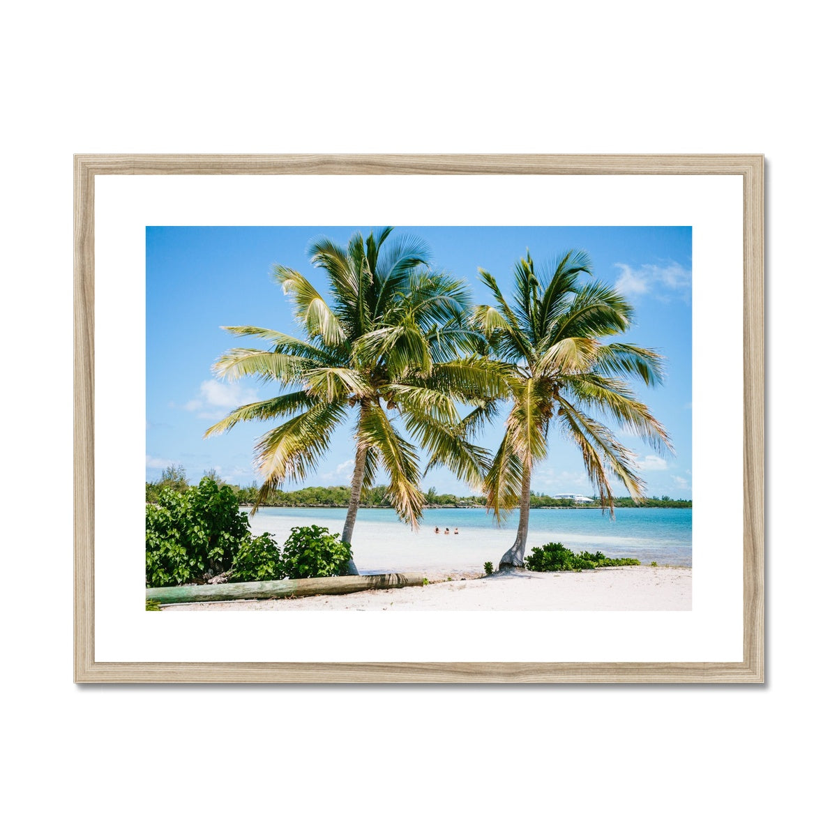 PALMS II Framed & Mounted Print