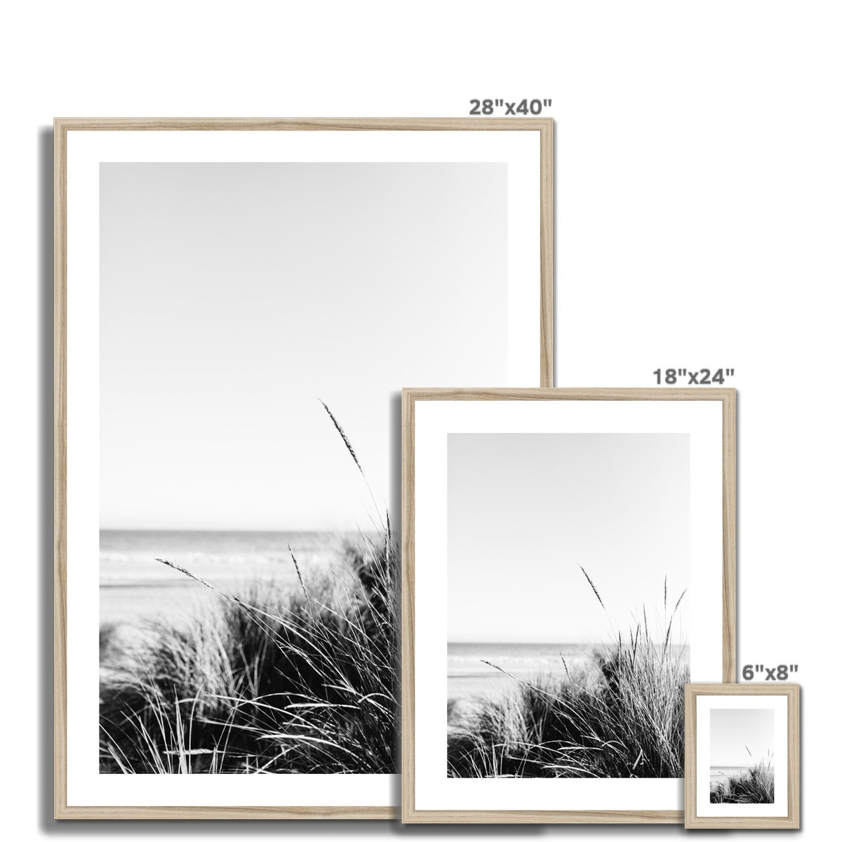 Sea Grass BW Framed & Mounted Print