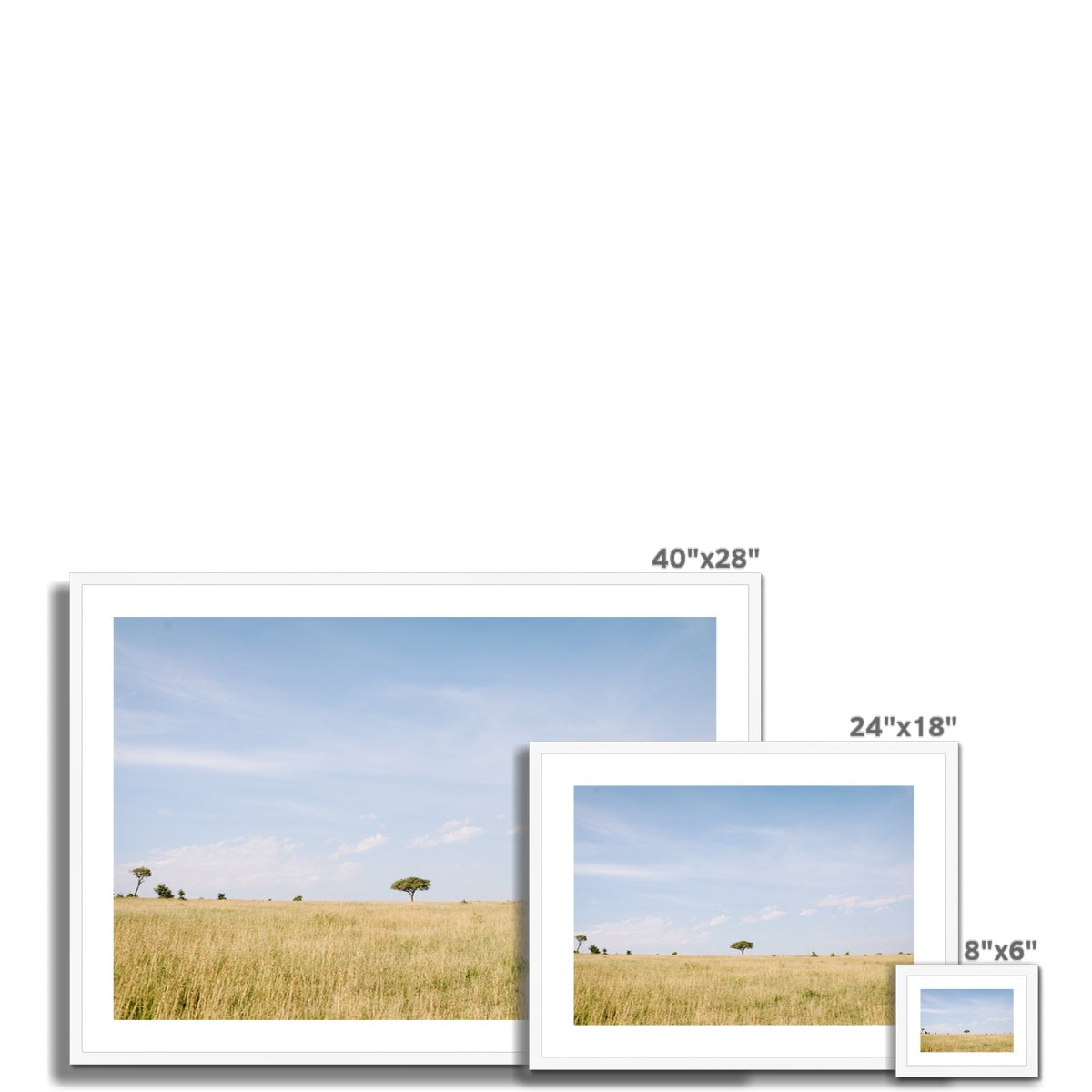 SAFARI LANDSCAPE Framed & Mounted Print
