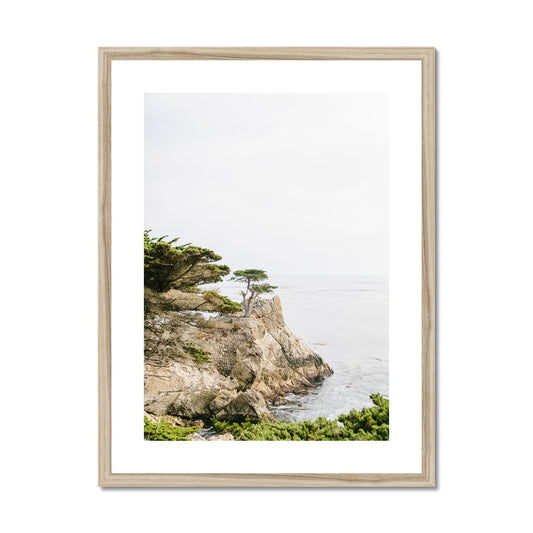LONE CYPRESS TREE Framed & Mounted Print