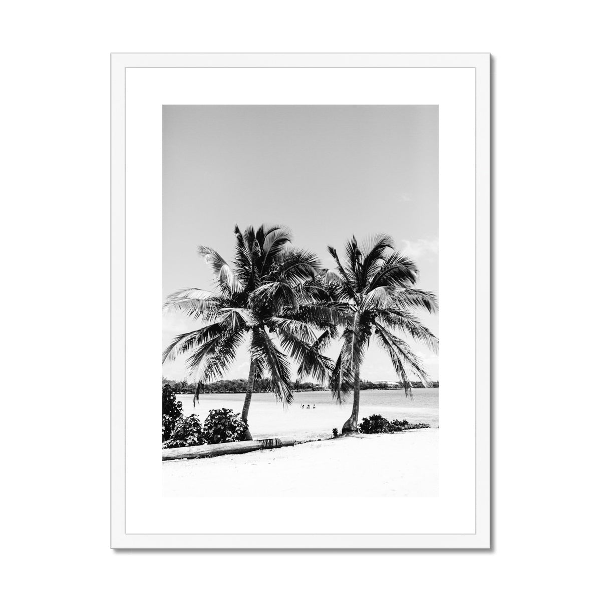 PALMS BW Framed & Mounted Print