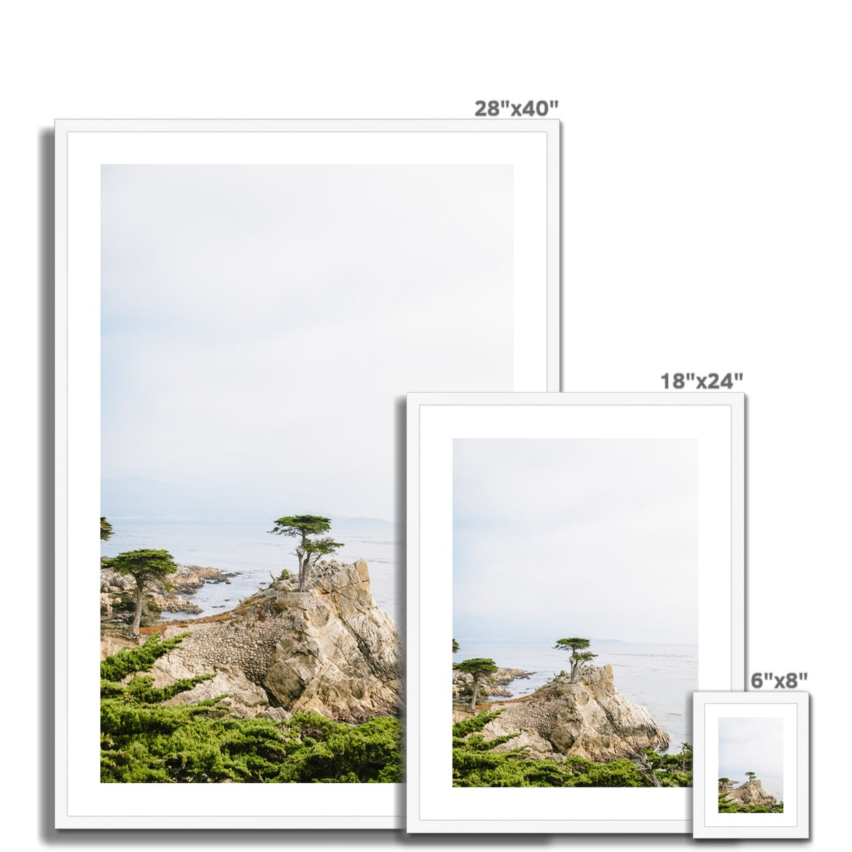 LONE CYPRESS TREE II Framed & Mounted Print