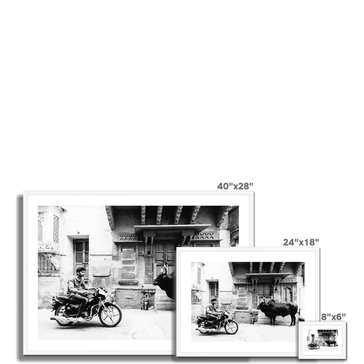 MOTO VS BULL BW Framed & Mounted Print