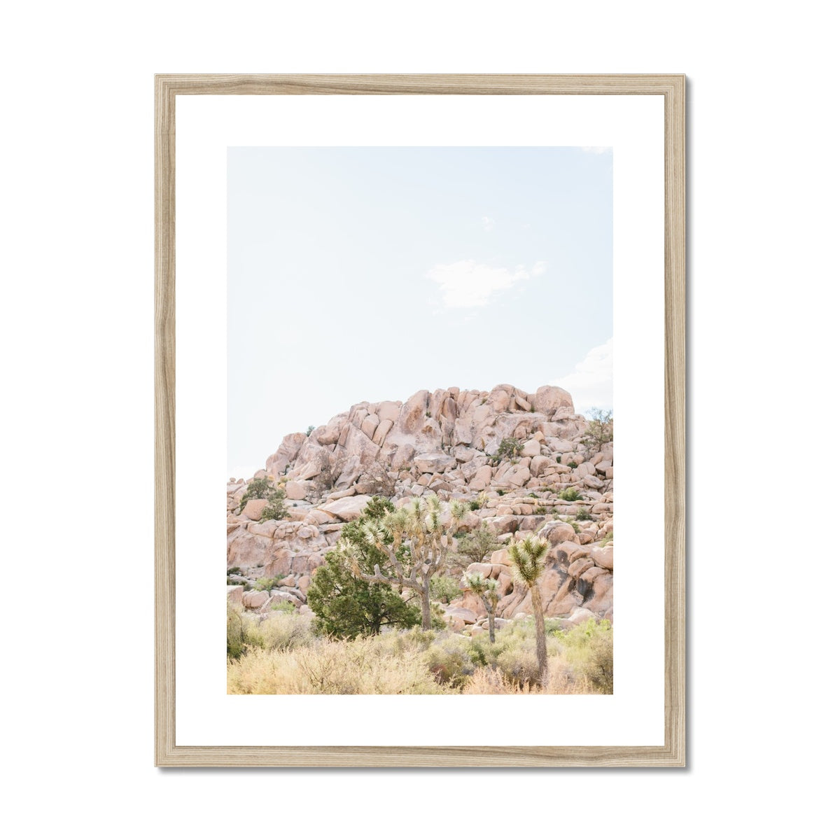 JOSHUA TREE VII Framed & Mounted Print