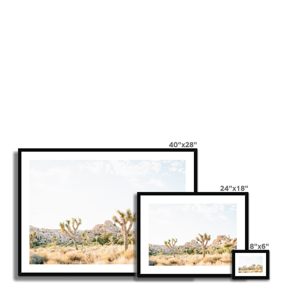 JOSHUA TREE VIII Framed & Mounted Print