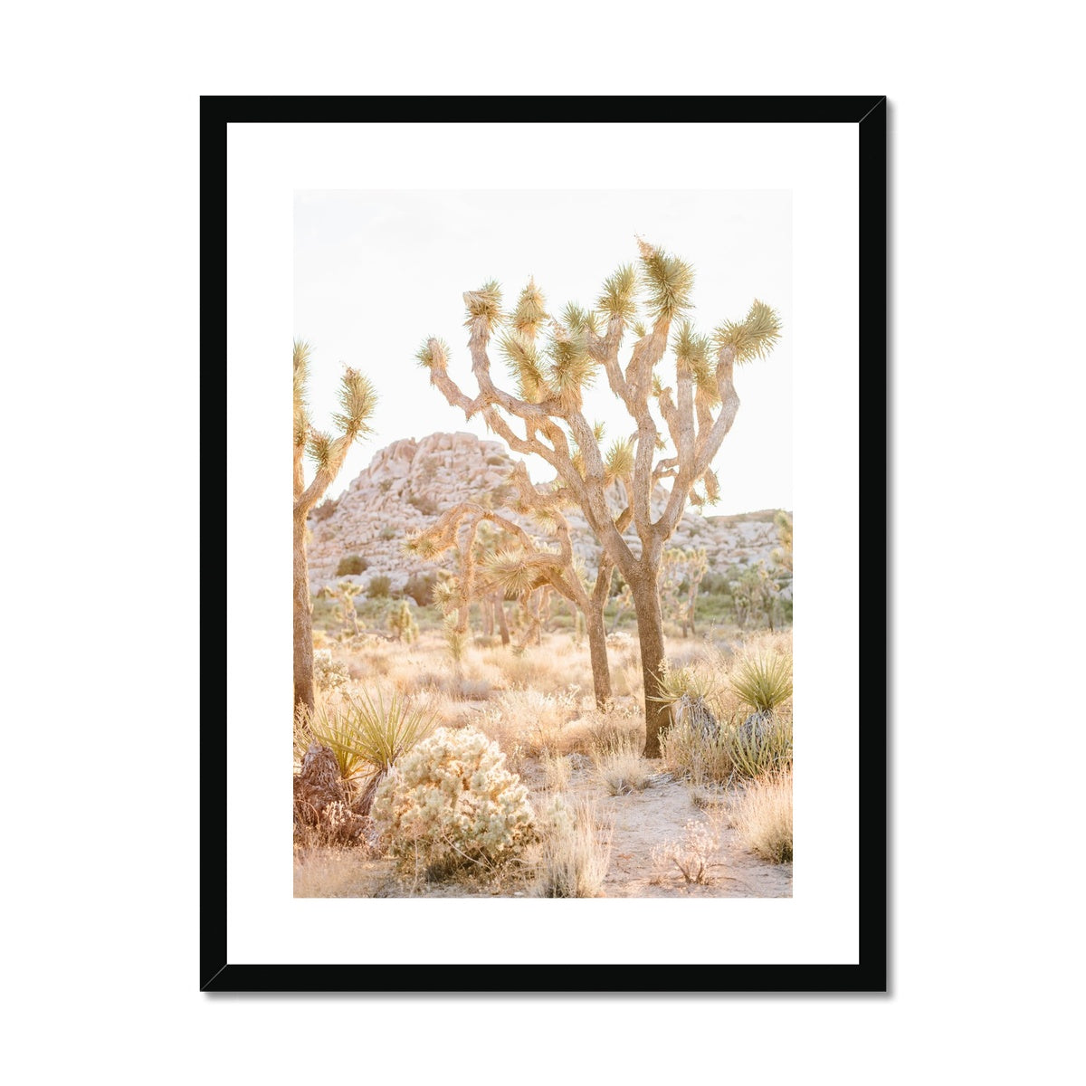 JOSHUA TREE Framed & Mounted Print