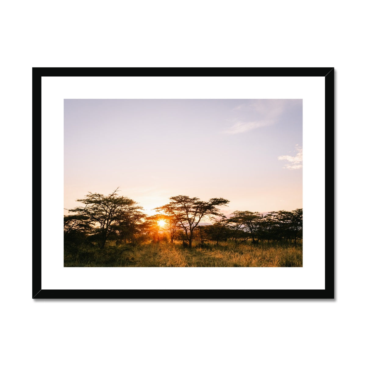 SAFARI BUSH SUNRISE Framed & Mounted Print